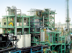 Biomass incineration power plant