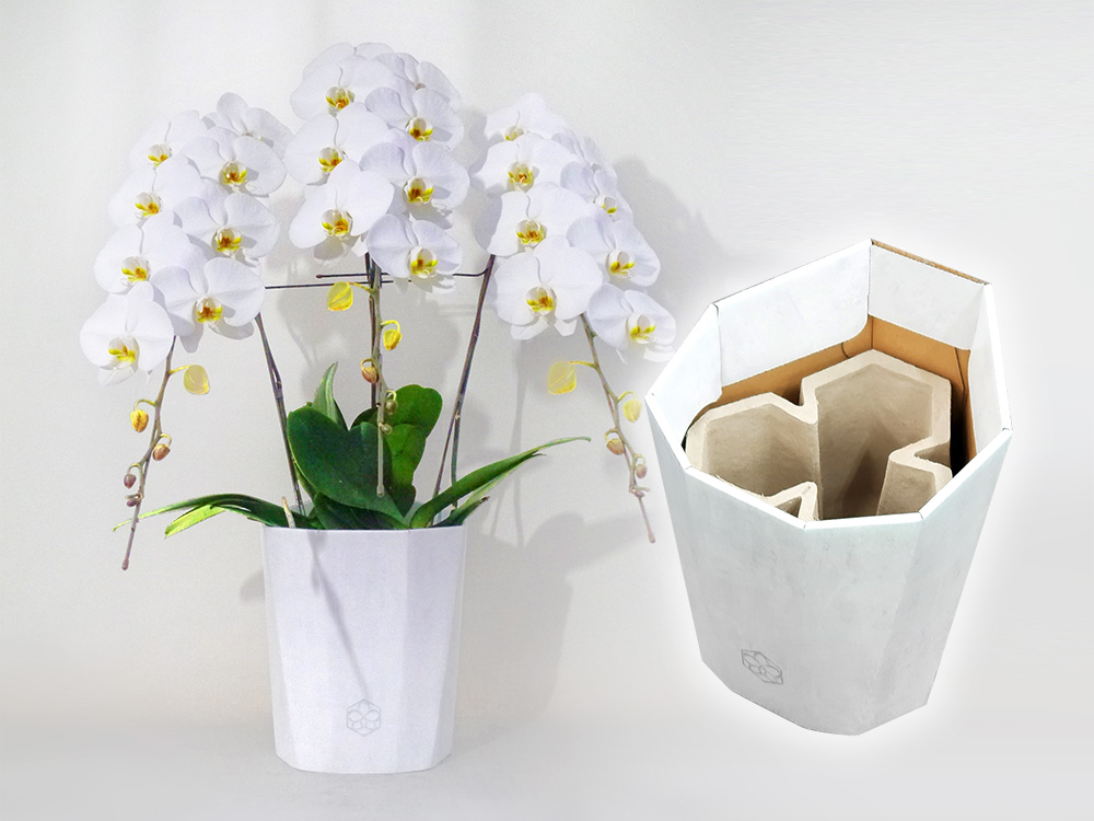 100% Paper-made Phalaenopsis Vase, Including Flower Pot