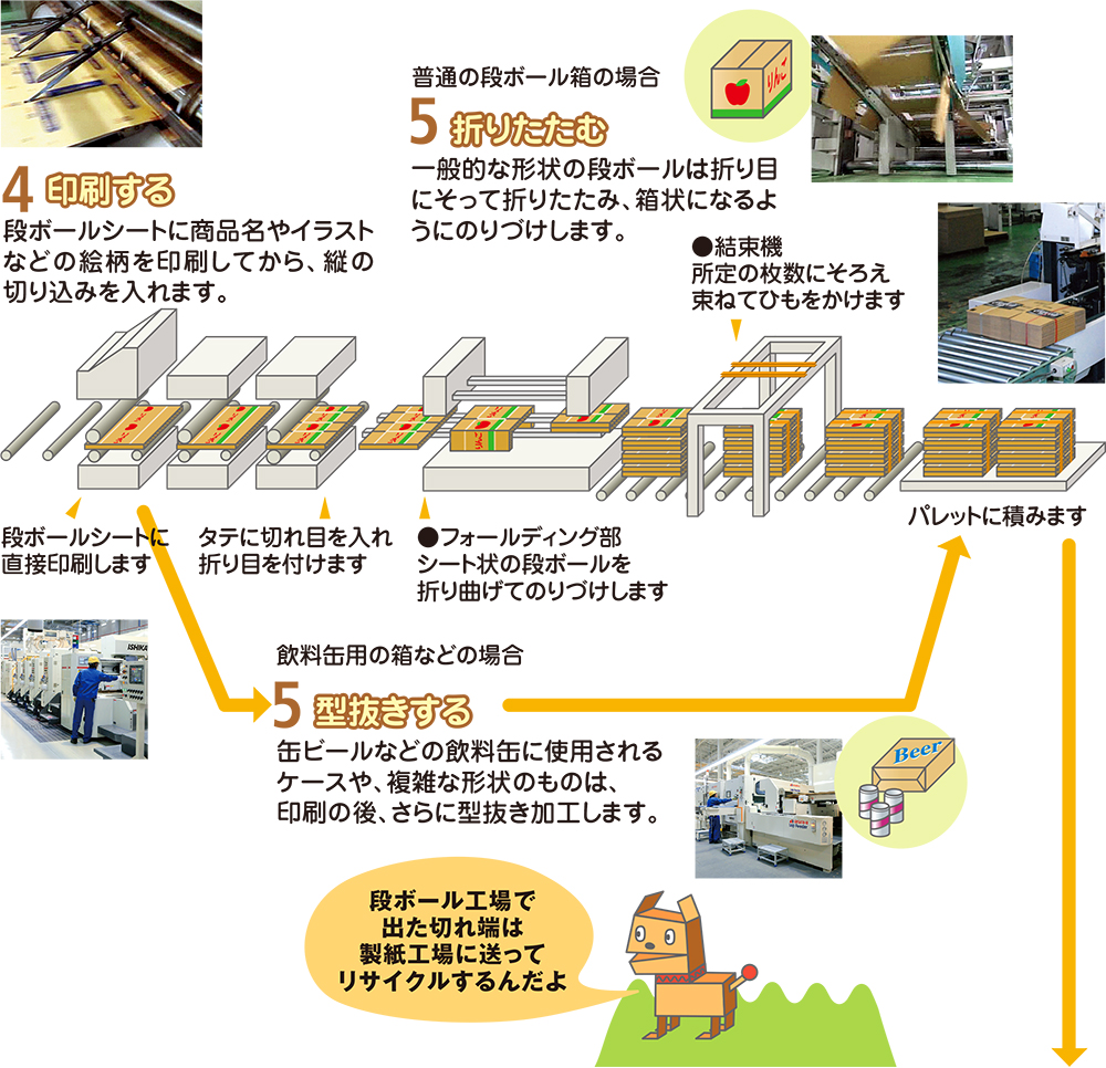 段ボールができるまで レンゴー株式会社