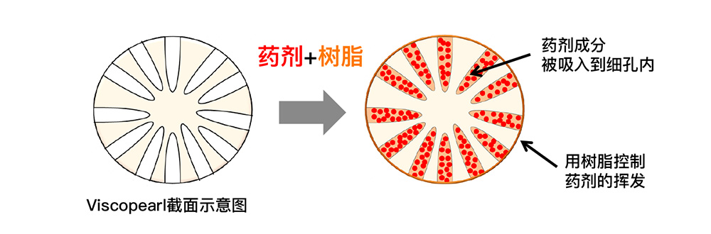 包埋技术示意图