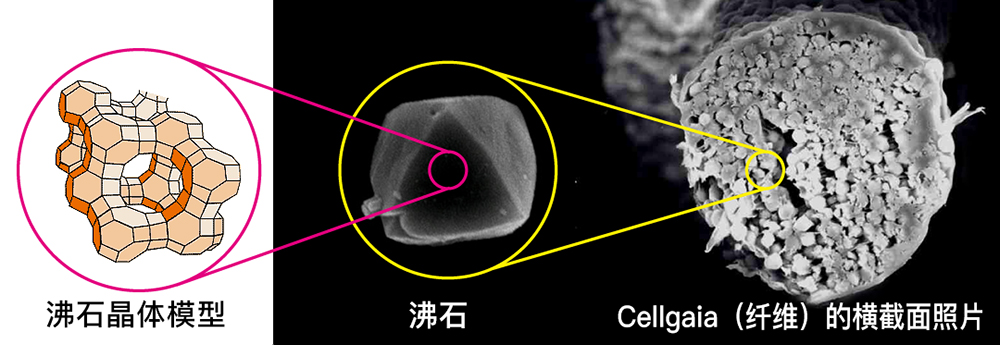 Cellgaia（含高密度沸石结晶的纸浆）的典型应用