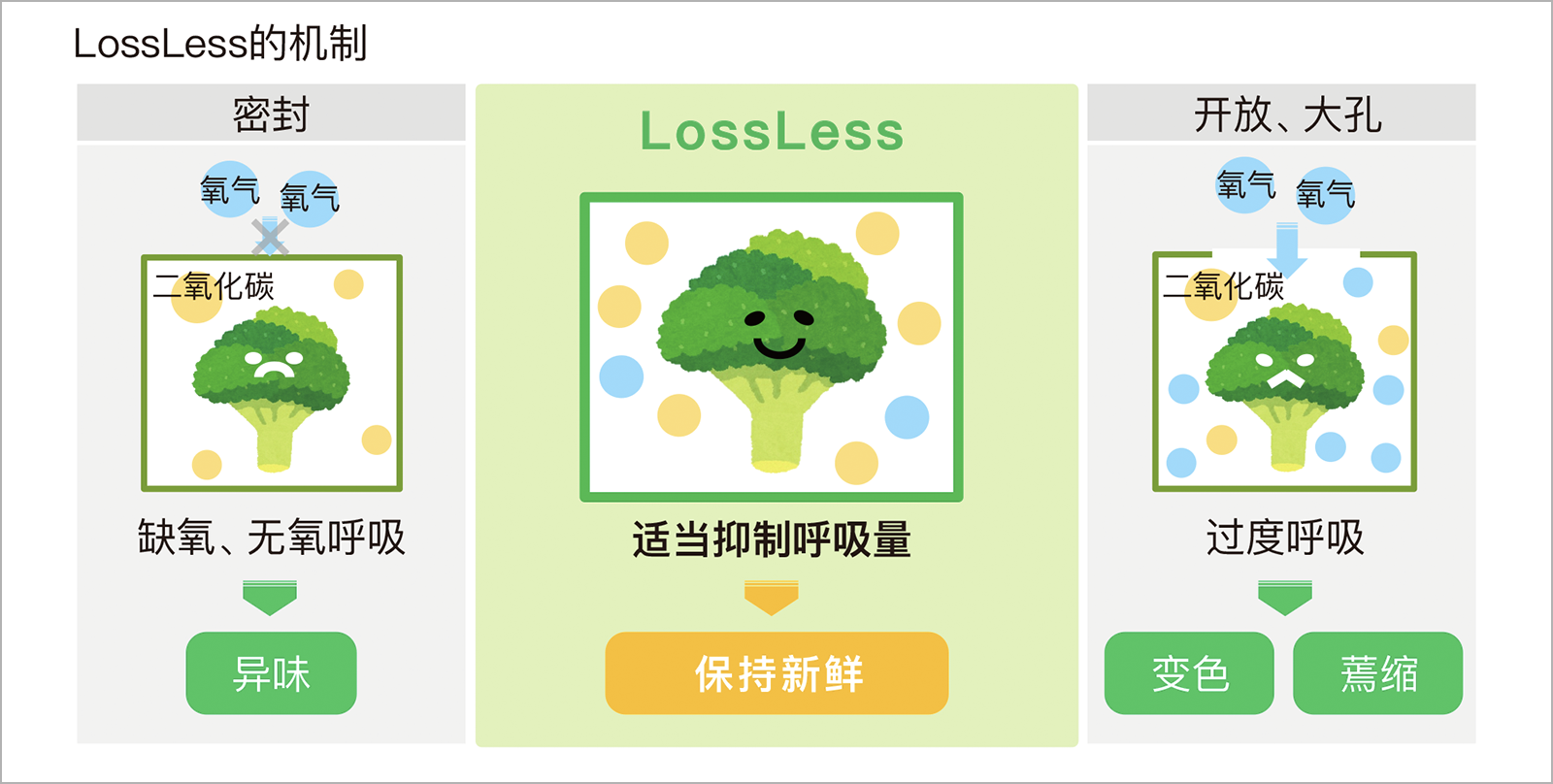 LossLess 保鲜包装