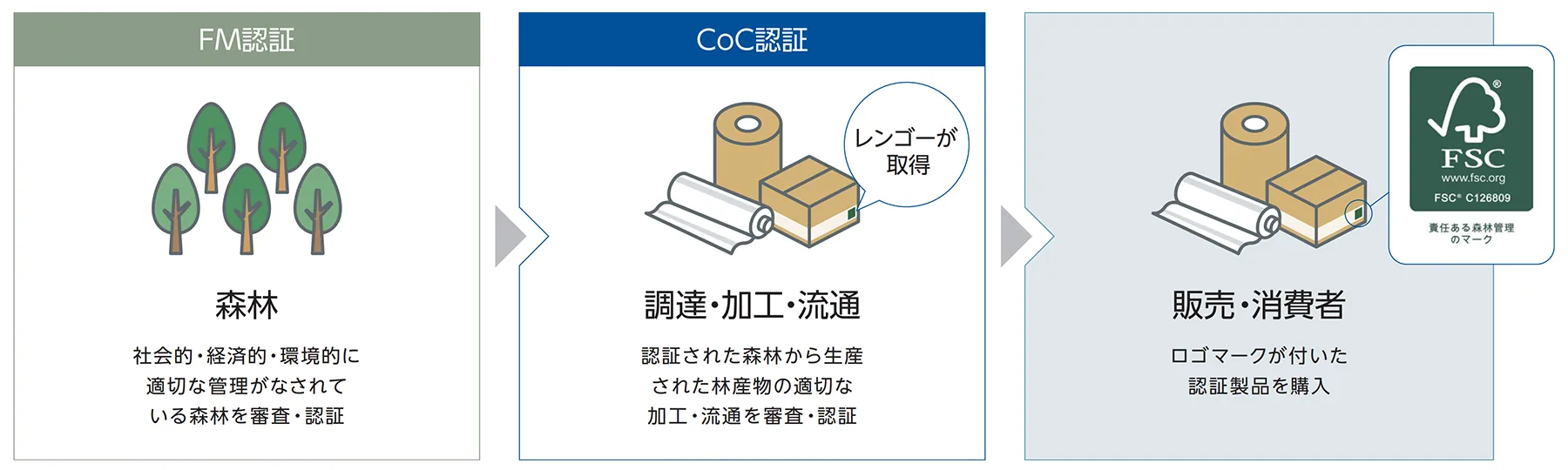 適切な管理がなされている森林を審査・認証したものがFM認証、その森林から生産された林産物の適切な加工・流通を審査・認証したものがレンゴーが取得しているCoC認証、FSC責任ある森林管理のマークが付いた認証製品を販売・消費者が購入する流れ