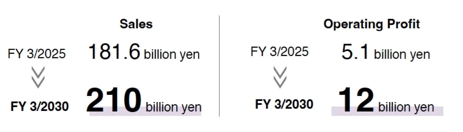 Flexible Packaging-Related Business:SalesFY 3/2030 210 billion yen, Operating Profit FY 3/2030 12 billion yen