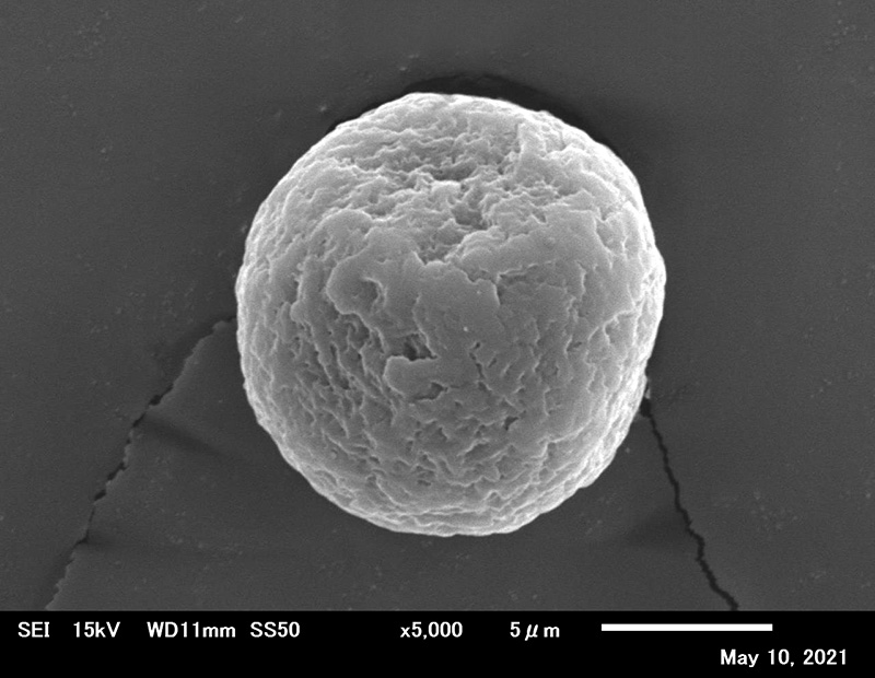 10μm (Non-porous）