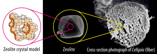 Cellgaia (pulp that zeolite crystallized at high density)