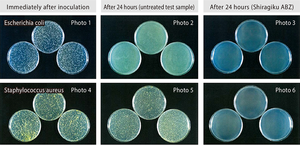 シラギクＡＢＺの抗菌性能