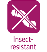 Insect-resistant