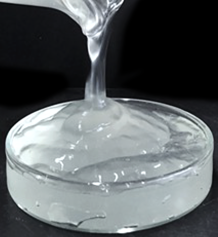 Cellulose Nano Fiber