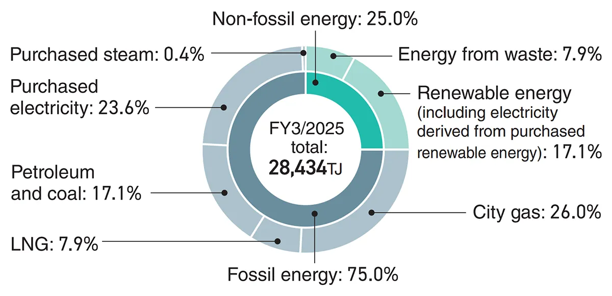 Non-fossil energy ratio: 25%