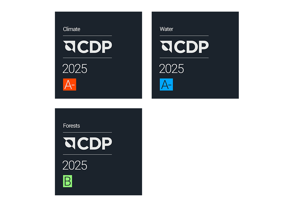 CDP Climate Change