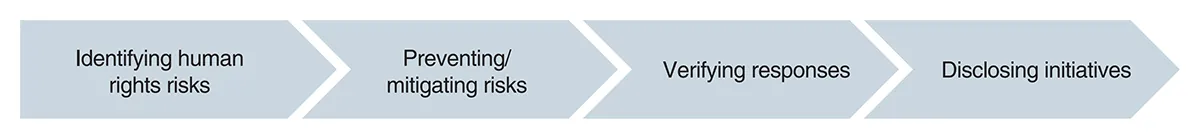 Identifying human rights risks, Preventing/mitigating risks, Verifying responses, Disclosing initiatives