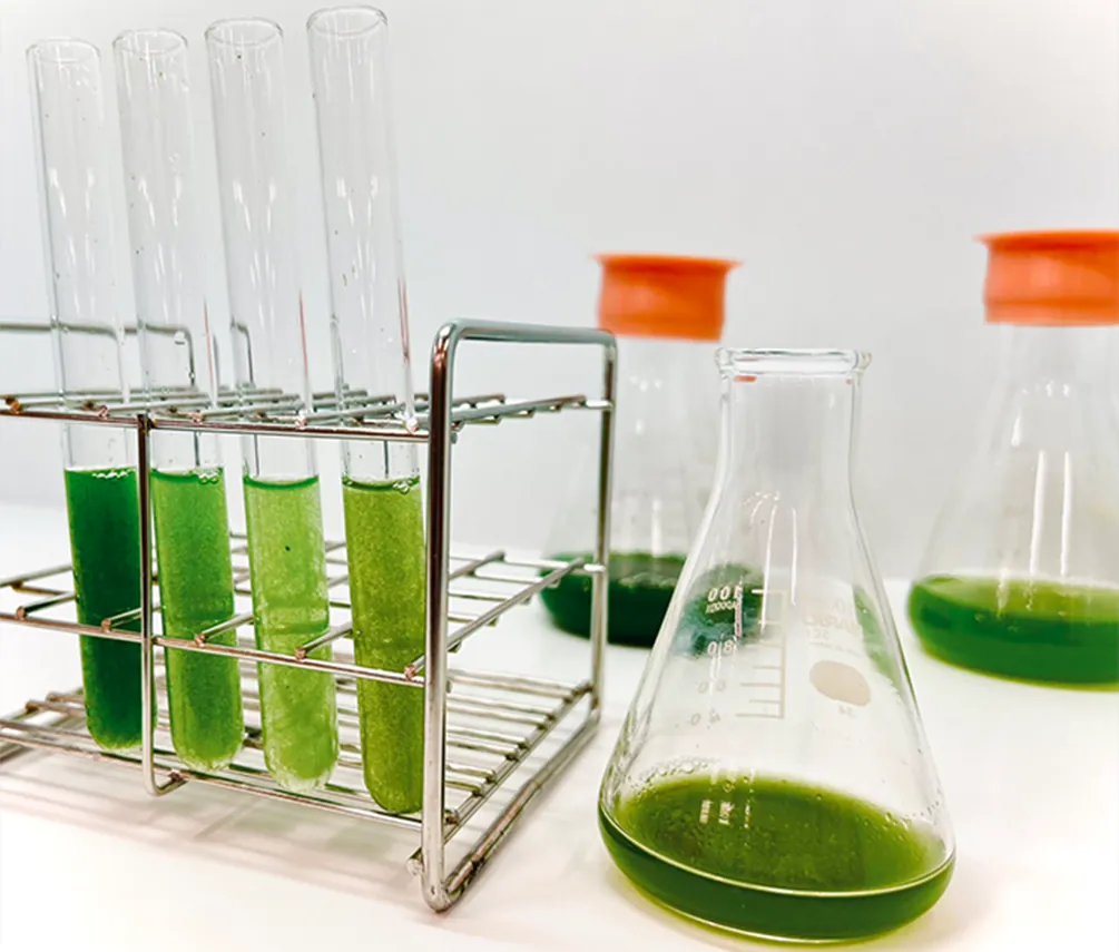 Illustrative photo of an experiment