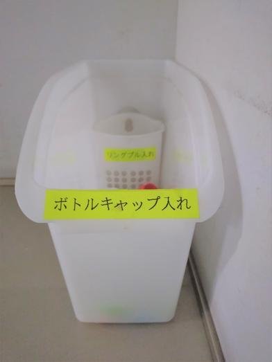 Collection box inside the plant