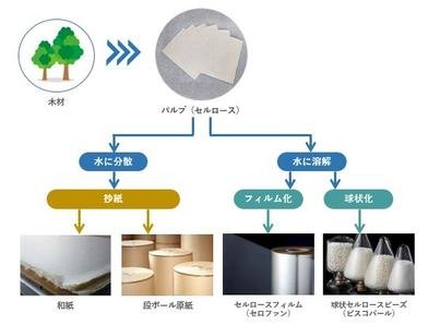 Overview of cellulose products