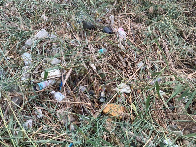 Various types of waste were found