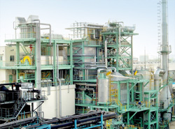 Biomass incineration power plant