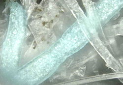 セルガイア配合梅炭抄繊糸の実態顕微鏡写真