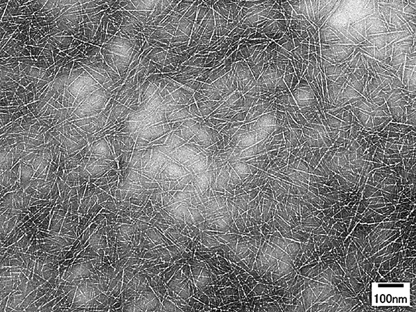 XCNF viewed through a transmission electron microscope