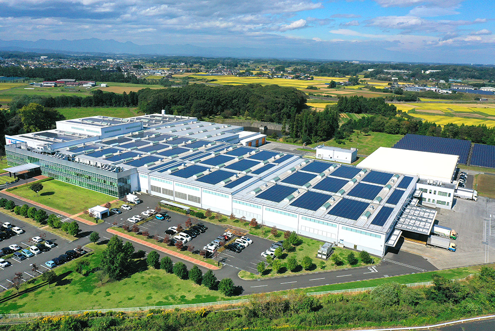 Panoramic view of the plant