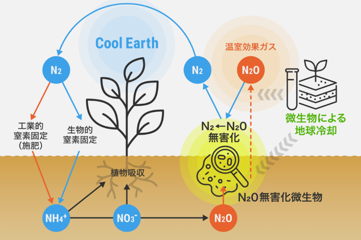 N2O排出削減フロー