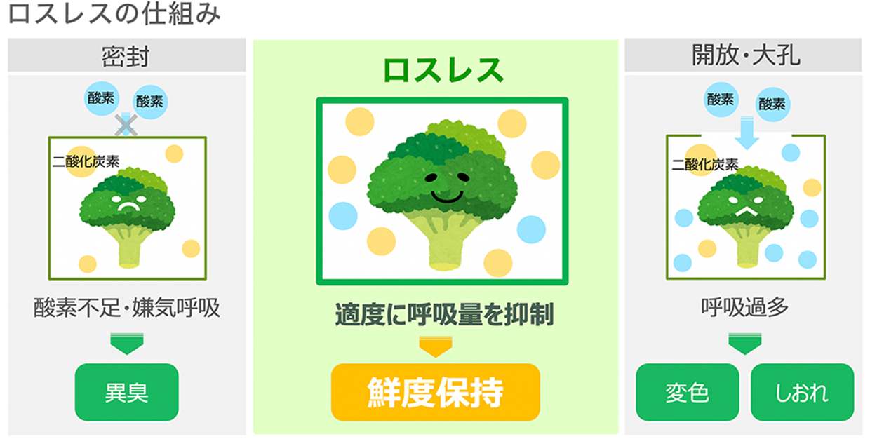 ロスレスの仕組み