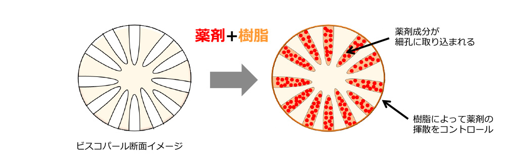 包埋技術イメージ