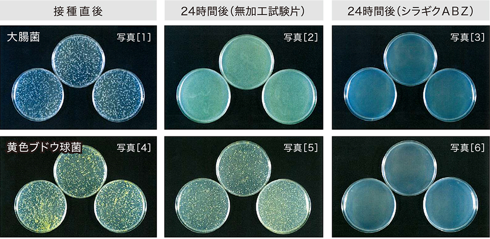 シラギクＡＢＺの抗菌性能