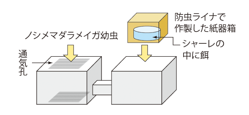 コスレン