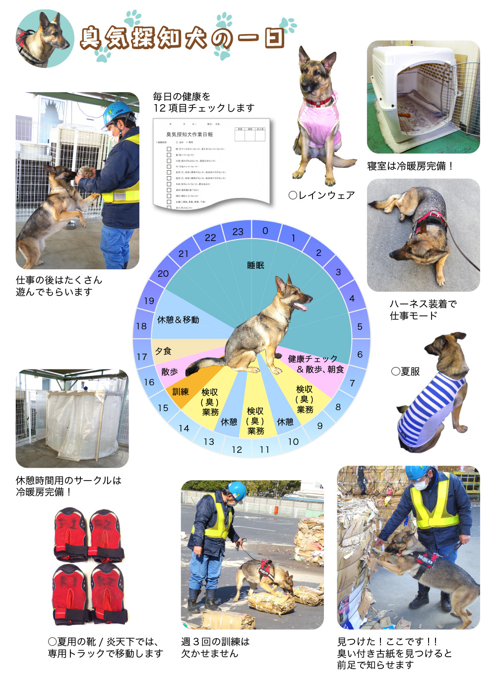 臭気探知犬の一日