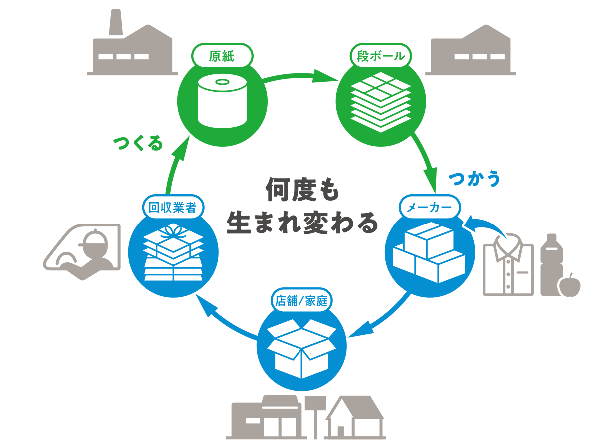 段ボールはリサイクル サステナビリティ レンゴー株式会社