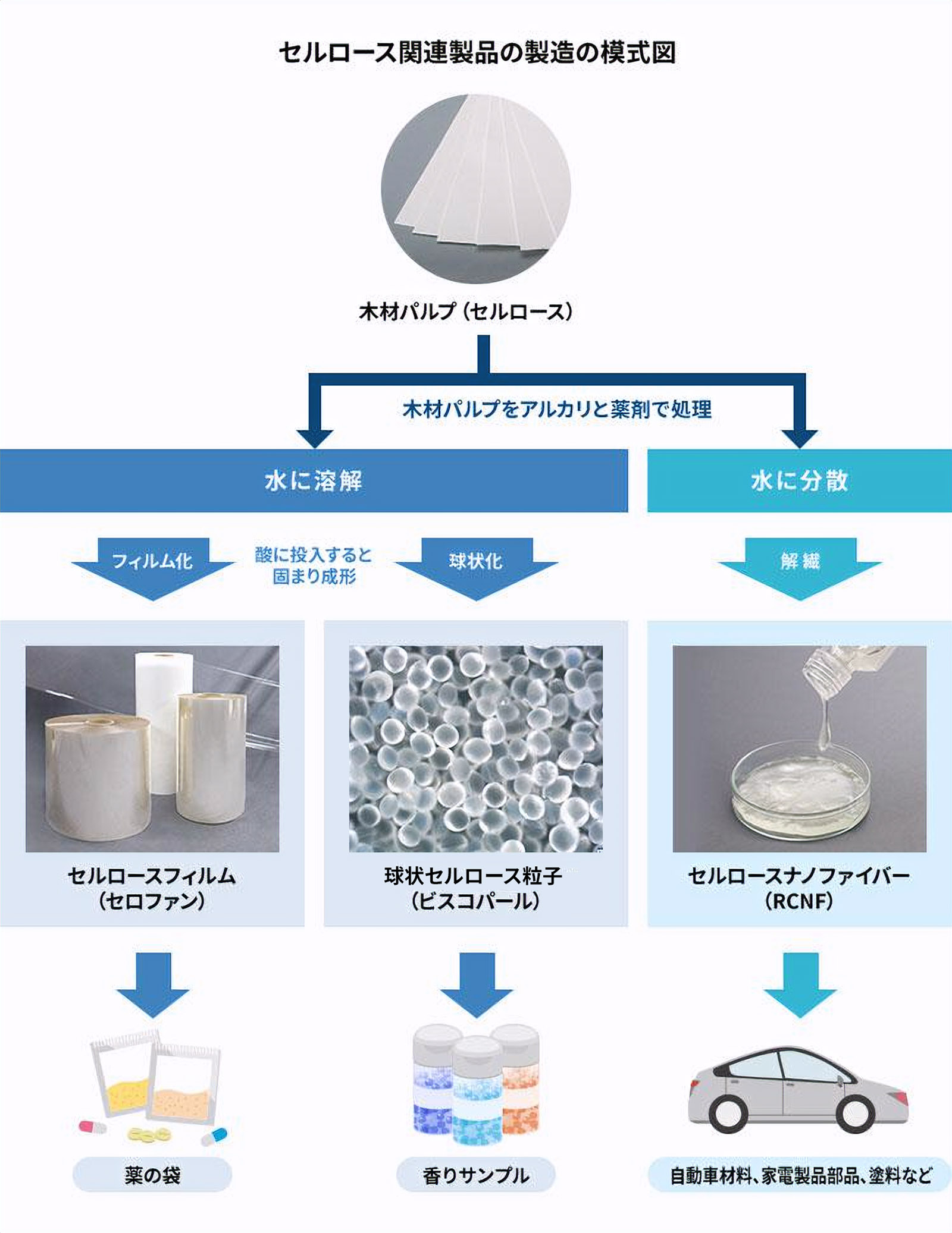 セルロース関連製品の製造の模式図