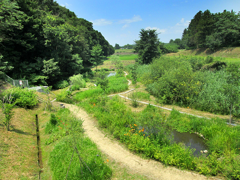 福島矢吹工場のビオトープ 