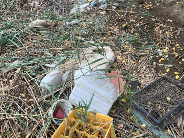 プラスチックごみが多く見られます